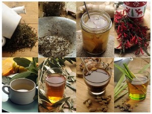 Preparazione-di-infusi-e-decotti_le-tisane-2